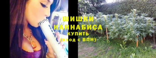 бошки Сатка