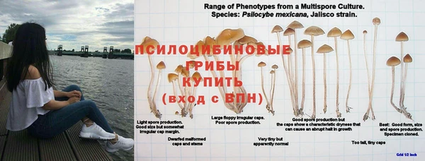 гашиш Алзамай