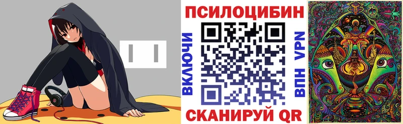 закладки  Венёв  Галлюциногенные грибы MAGIC MUSHROOMS 